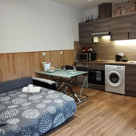 Appartement 2 Pieces Renover